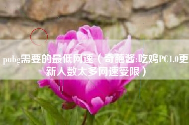 pubg需要的最低网速（奇葩酱:吃鸡PC1.0更新人数太多网速受限）