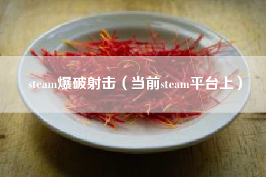 steam爆破射击（当前steam平台上）