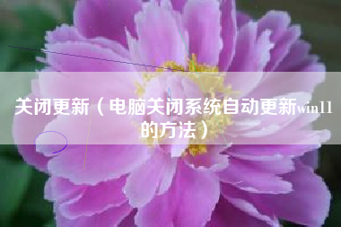 关闭更新（电脑关闭系统自动更新win11的方法）