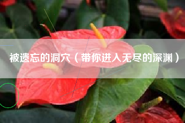 被遗忘的洞穴（带你进入无尽的深渊）