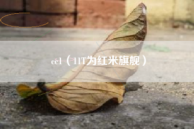 cc1（11T为红米旗舰）