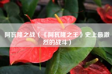 阿瓦隆之战（《阿瓦隆之王》史上最激烈的战斗）