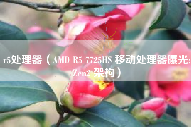 r5处理器（AMD R5 7725HS 移动处理器曝光:Zen2 架构）
