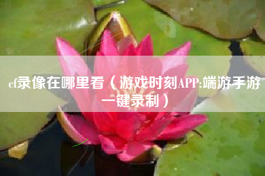 cf录像在哪里看（游戏时刻APP:端游手游一键录制）