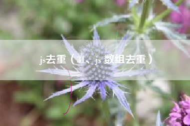 js去重（31、js 数组去重）