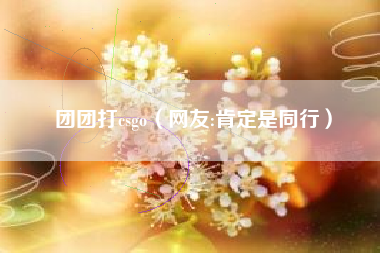 团团打csgo（网友:肯定是同行）