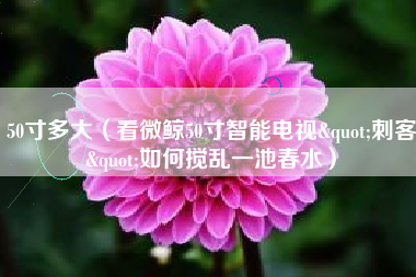 50寸多大（看微鲸50寸智能电视"刺客"如何搅乱一池春水）