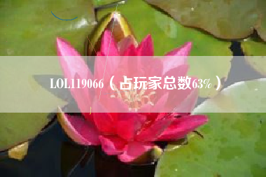 LOL119066（占玩家总数63%）