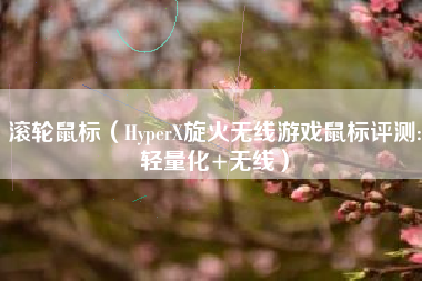 滚轮鼠标（HyperX旋火无线游戏鼠标评测:轻量化+无线）
