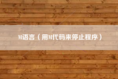 M语言（用M代码来停止程序）