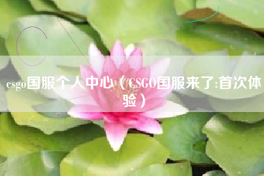 csgo国服个人中心（CSGO国服来了:首次体验）