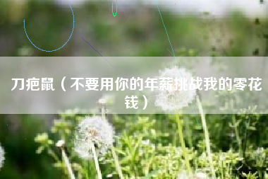 刀疤鼠（不要用你的年薪挑战我的零花钱）