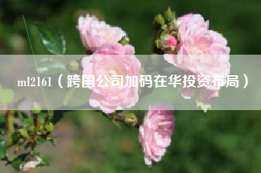 ml2161（跨国公司加码在华投资布局）