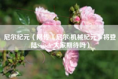 尼尔纪元（网传《尼尔:机械纪元》将登陆Switch 大家期待吗）