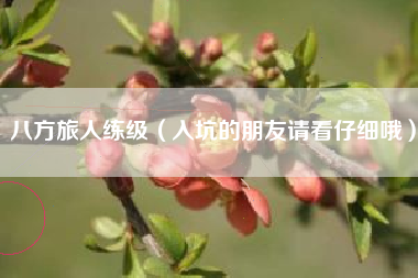 八方旅人练级（入坑的朋友请看仔细哦）