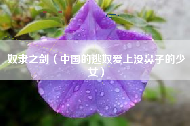 奴隶之剑（中国的逃奴爱上没鼻子的少女）