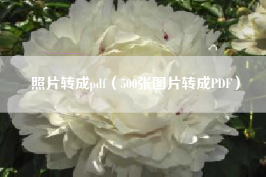 照片转成pdf（500张图片转成PDF）