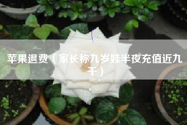 苹果退费（家长称九岁娃半夜充值近九千）