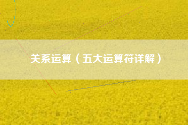 关系运算（五大运算符详解）