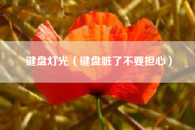键盘灯光（键盘脏了不要担心）