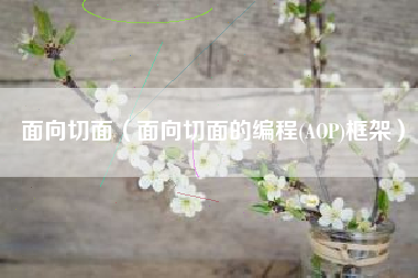 面向切面（面向切面的编程(AOP)框架）