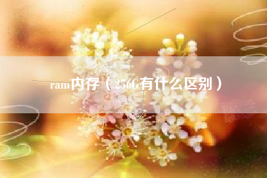 ram内存（256G有什么区别）