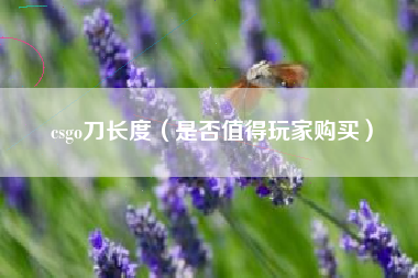 csgo刀长度（是否值得玩家购买）