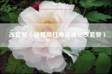 改套餐（运营商打电话通知改套餐）