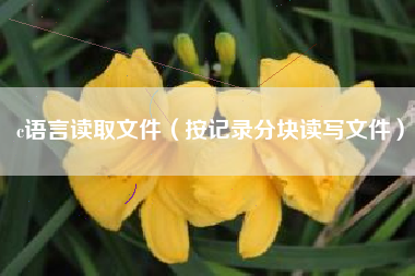 c语言读取文件（按记录分块读写文件）