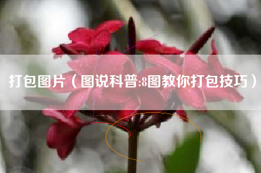 打包图片（图说科普:8图教你打包技巧）