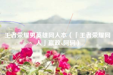 王者荣耀男英雄同人本（「王者荣耀同人」嬴政x阿轲）