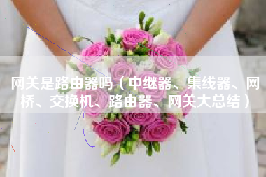 网关是路由器吗（中继器、集线器、网桥、交换机、路由器、网关大总结）