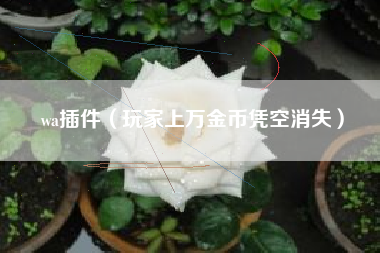 wa插件（玩家上万金币凭空消失）