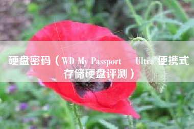 硬盘密码（WD My Passport™ Ultra 便携式存储硬盘评测）
