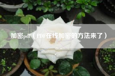 加密pdf（PDF在线加密的方法来了）