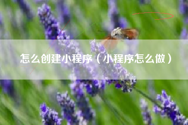 怎么创建小程序（小程序怎么做）