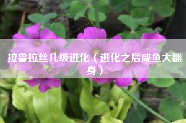 拉鲁拉丝几级进化（进化之后咸鱼大翻身）