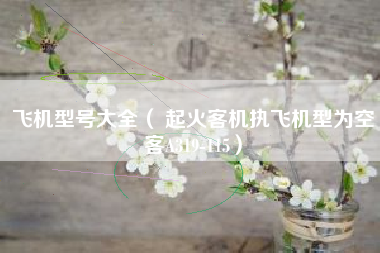飞机型号大全（ 起火客机执飞机型为空客A319-115）
