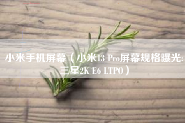小米手机屏幕（小米13 Pro屏幕规格曝光:三星2K E6 LTPO）