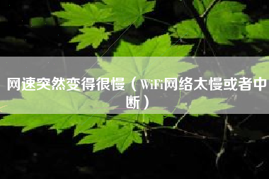 网速突然变得很慢（WiFi网络太慢或者中断）