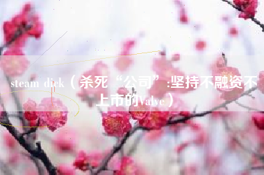 steam dick（杀死“公司”:坚持不融资不上市的Valve）