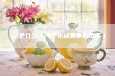 pva是什么（国产化成竞争胜负手）