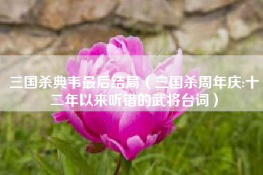 三国杀典韦最后结局（三国杀周年庆:十二年以来听错的武将台词）