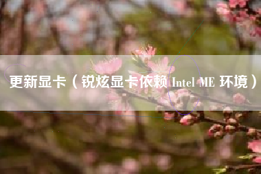 更新显卡（锐炫显卡依赖 Intel ME 环境）