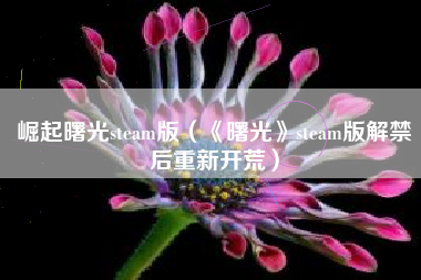 崛起曙光steam版（《曙光》steam版解禁后重新开荒）