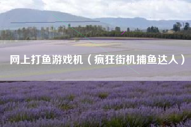 网上打鱼游戏机（疯狂街机捕鱼达人）