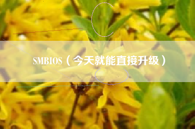 SMBIOS（今天就能直接升级）