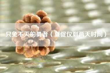 只兔不灭的勇者（夏促仅剩两天时间）