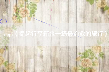 nopi（提起行李箱来一场最治愈的旅行）