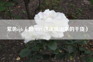 紫色rgb（但OPPO这次端出来的干货）